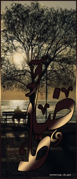 ������ ������� ����