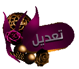 �����/��� ��������