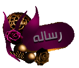 ���� ����� ����